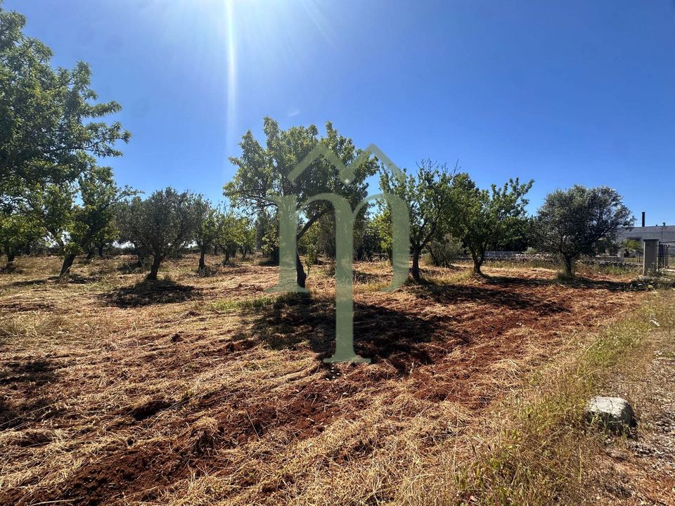 Helårsgrund i Carovigno, Brindisi - foto 2